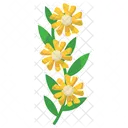 Foliage And Floral Daisy Flower Icon