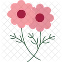 Daisy Flower  Icon