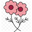 Daisy Flower Floral Bloom Garden Flower Icon