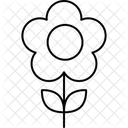 Daisy Floral Flower Icon