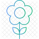 Daisy Floral Flower Icon