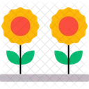 Daisy flower  Icon