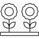 Daisy Floral Flower Icon