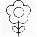 Daisy flower  Icon