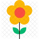 Daisy Floral Flower Icon