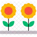 Daisy Floral Flower Icon