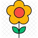 Daisy Floral Flower Icon