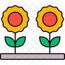 Daisy Floral Flower Icon