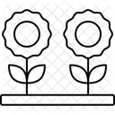 Daisy Floral Flower Icon
