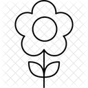 Daisy Floral Flower Icon