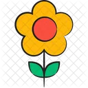 Daisy Floral Flower Icon