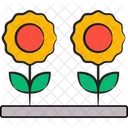 Daisy Floral Flower Icon