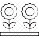 Daisy Floral Flower Icon