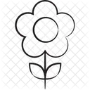 Daisy Floral Flower Icon