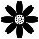 Flower Daisy Flower Garden Flower Icon