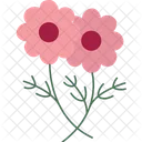 Daisy Flower Floral Bloom Garden Flower Icon