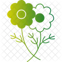 Daisy Flower Floral Bloom Garden Flower Icon