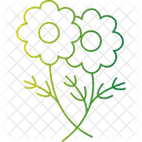 Daisy Flower Floral Bloom Garden Flower Icon