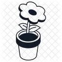 Daisy Flower Flower Blossom Icon
