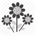 Daisy Flower Icon