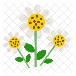 Daisy flower  Icon