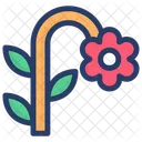 Daisy Flower Chamomile Blossom Icon