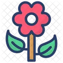 Daisy Flower Chamomile Blossom Icon