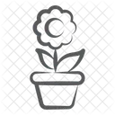 Daisy Flower Chamomile Blossom Icon