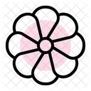 Daisy Flower Blossom Plant Icon