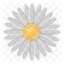 Spring Blossom Spring Flower Daisy Flower Icon