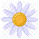 Daisy Flower  Icon