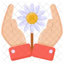 Daisy Flower  Icon