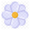 Daisy Flower  Icon