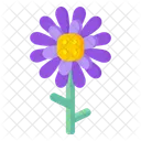 Daisy Flower  Icon