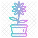 Daisy Flower  Icon