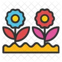 Daisy Plants Small Icon