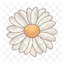 Flower Plant Nature Icon