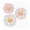 Flower Plant Nature Icon