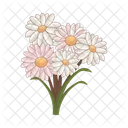 Daisy flower plant  Icon