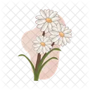 Daisy flower plant  Icon