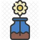 Daisy Flower Pot  Icon