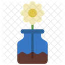 Daisy Flower Pot  Icon