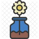 Daisy Flower Pot  Icon