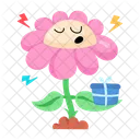 Daisy Flower  Icon