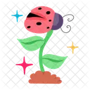 Daisy Flower  Icon