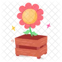 Daisy Flower  Icon