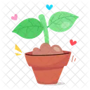 Daisy Flower  Icon