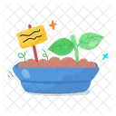 Daisy Flower  Icon