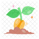 Daisy Flower  Icon