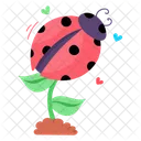 Daisy Flower  Icon